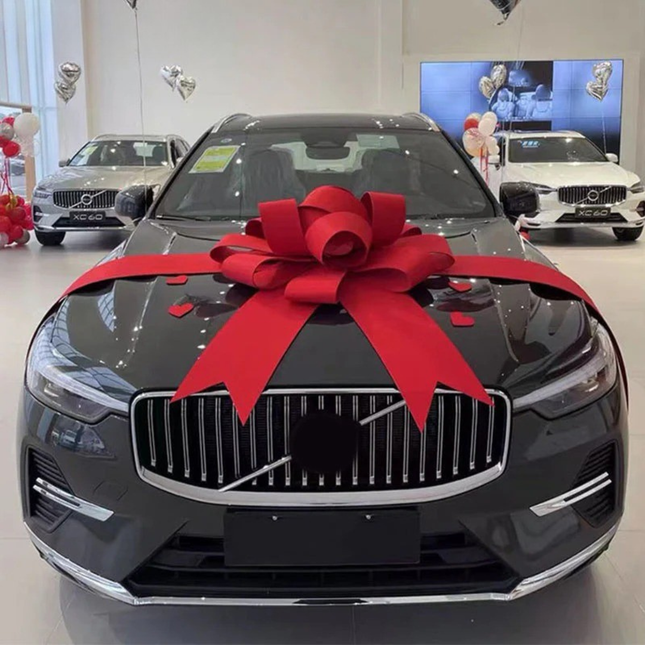 Large Huge Giant Red Bow Ribbon For Car