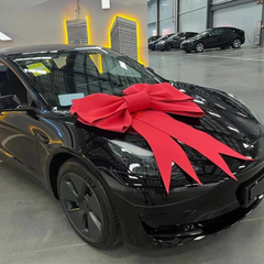 Collection image for: Car Ribbon Bow